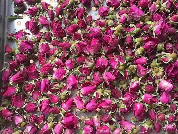 花類(lèi)烘干機