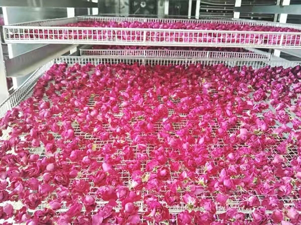 花類(lèi)烘干機